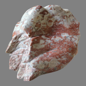 Echancrure-OSNI. Marbre rouge à fossiles, stromatactis et veines de calcite, Villefranche-de-Conflent, Pyrénées orientales, France. 2016
