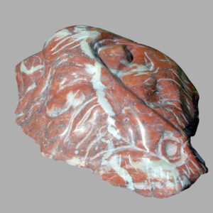 Masque du "Phénomène". Marbre rouge à stromatactis et veines de calcite, Villefranche-de-Conflent, Pyrénées orientales, France. 2021