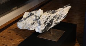 "Chimère antique". Marbre dit "Grand antique d'Aubert". Hall (coté Nord) du Château de l'Etang, Saran, France.