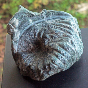 La chèvre, Serpentinite, Châtillon, Val d'Aoste, Italie. 2017