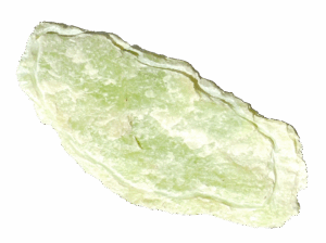 "Huitre". Serpentine citron vert (dit "New Jade" ). 2025