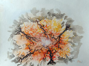 Sous la canopée. Aquarelle, encre. 2025