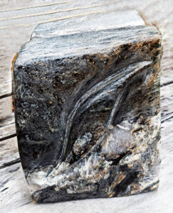 Gneiss à biotite, Alleuze, Cantal, 2026