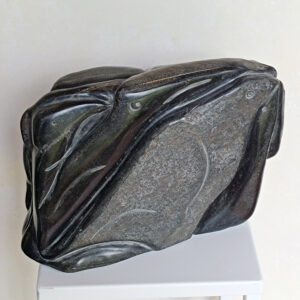 Oiseaux, Amphibolite, Gabon. 2026. Roche de J.P. Prian
