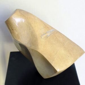 "Terre de Sienne". Calcaire jaune à veinule de calcite. 2026
